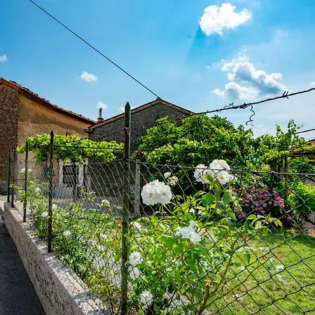 Tatil Evi Apartma Bajc
